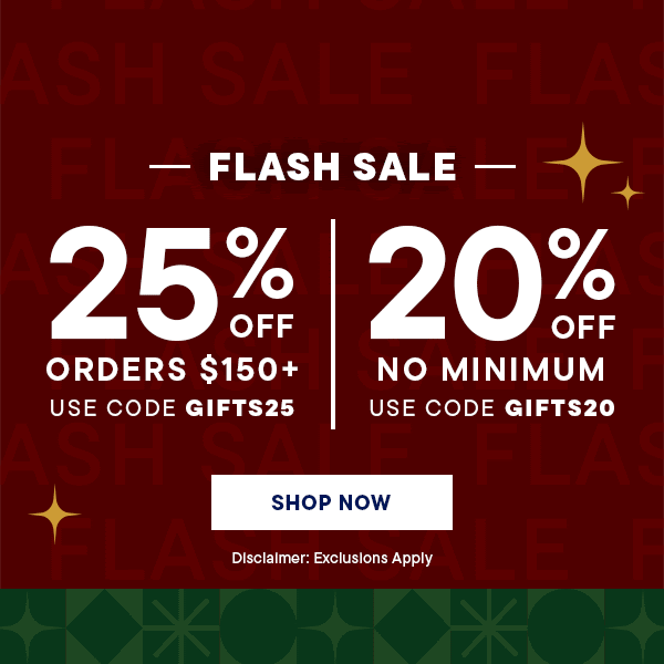 Animated Champs Sports flash sale creative.